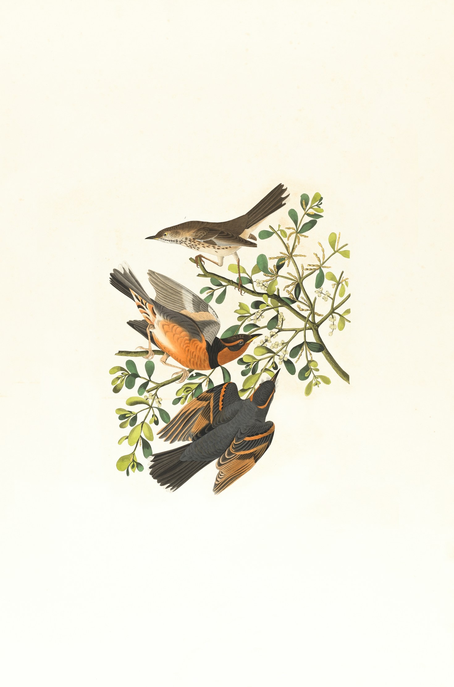 The Art of Slow Living in a Fast-Paced World